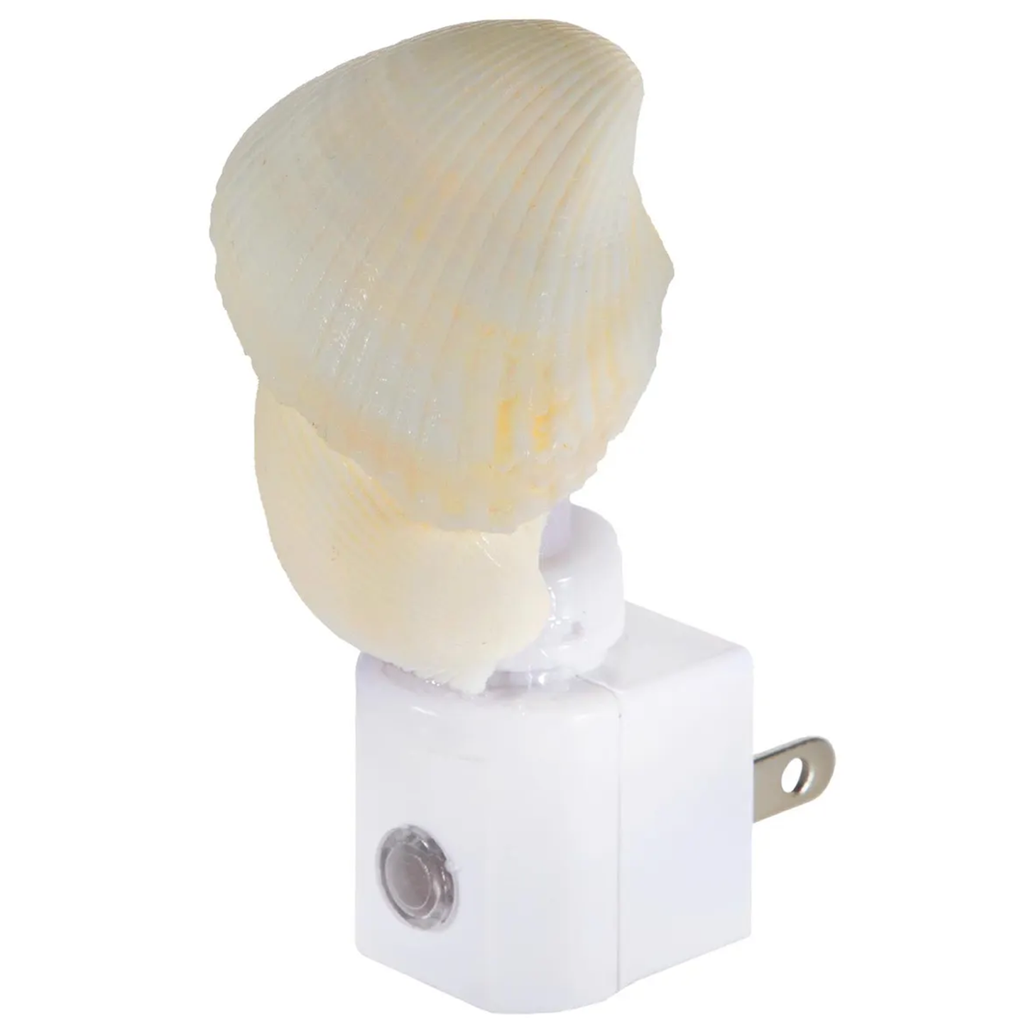 Night Nest Lamp With Two Marine Shells, Light Sensor