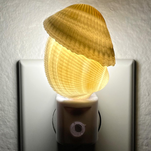 Night Nest Lamp With Two Marine Shells, Light Sensor