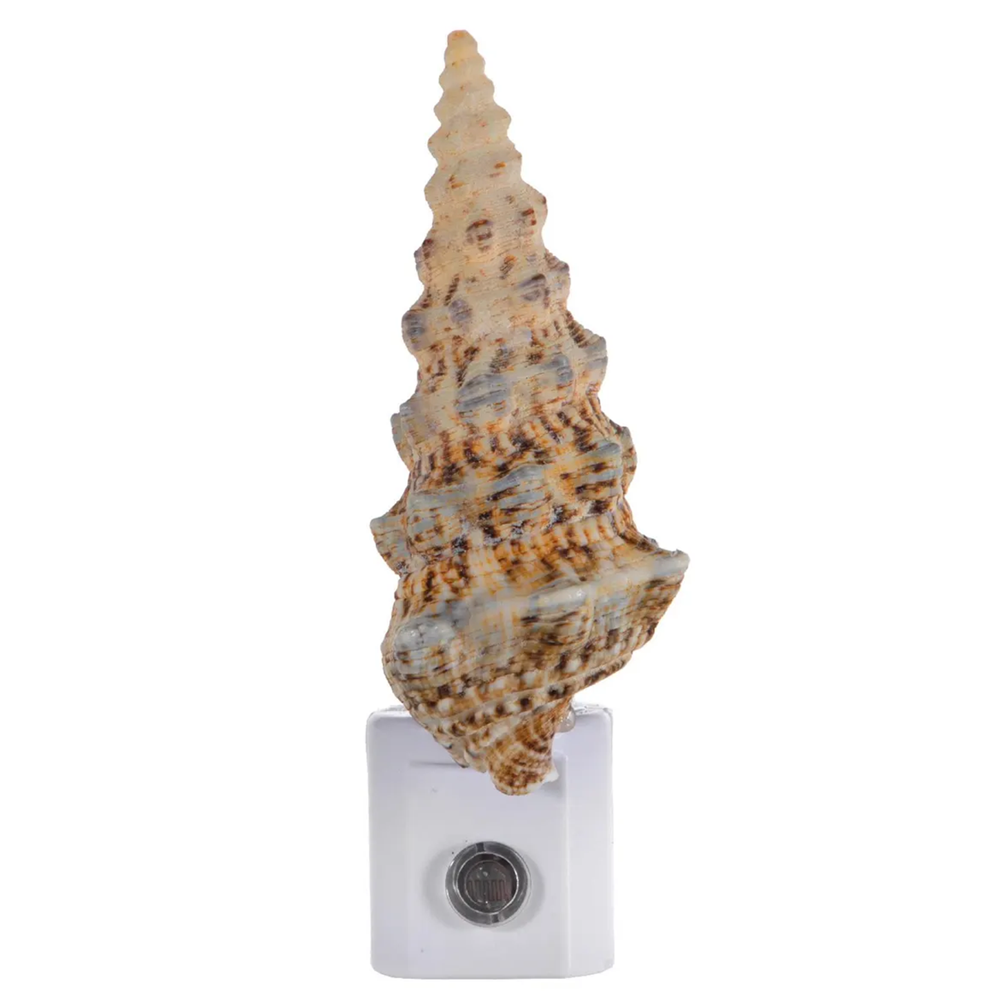 Large Shell Socket Night Lamp With Automatic Sensor