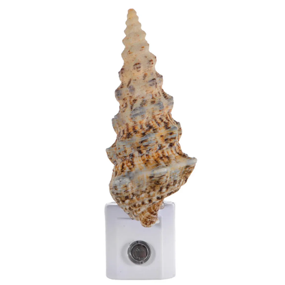Large Shell Socket Night Lamp With Automatic Sensor