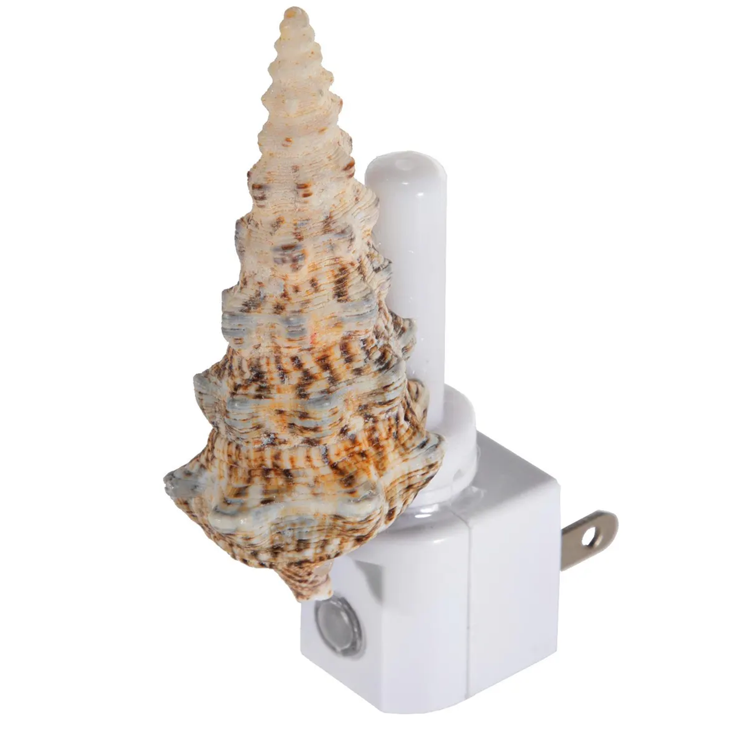 Large Shell Socket Night Lamp With Automatic Sensor